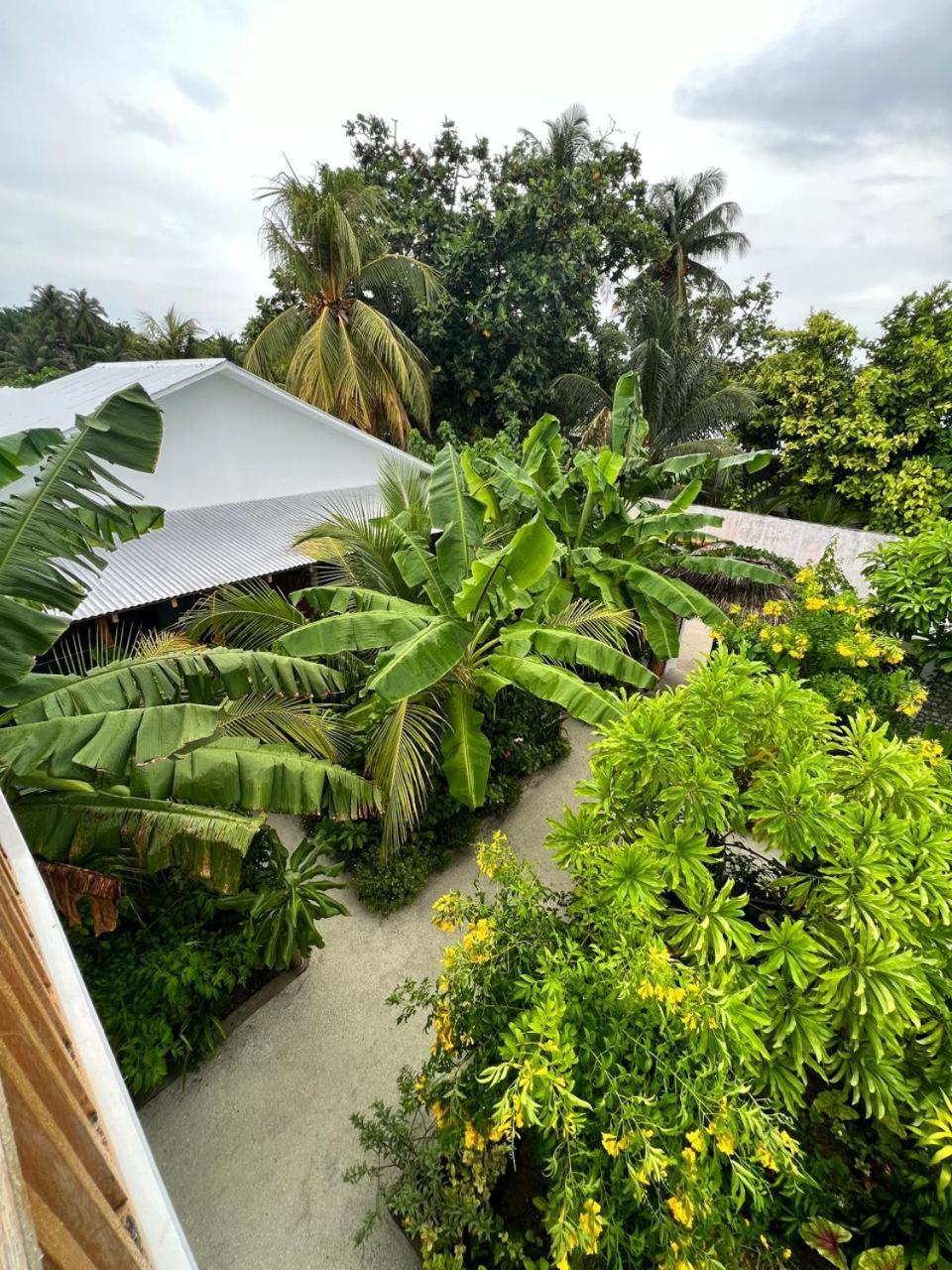 Seaside Dhigurah * Dhigurah (Alif Dhaal Atoll)