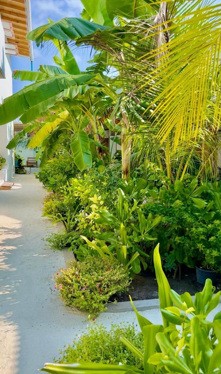 Seaside Dhigurah *