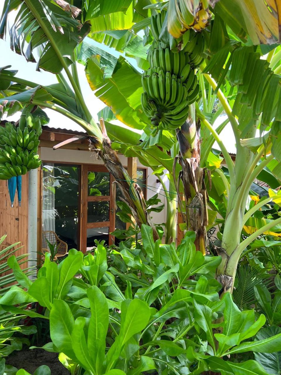 Seaside Dhigurah Guest house *